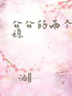 公公的两个好儿媳