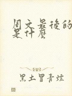 周文最后的结局是什么