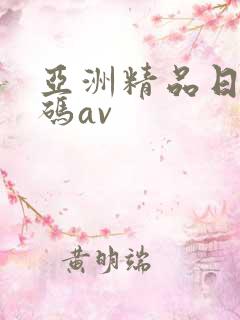 亚洲精品日韩有码av