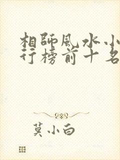 相师风水小说排行榜前十名
