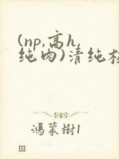 (np,高h,纯肉)清纯校花