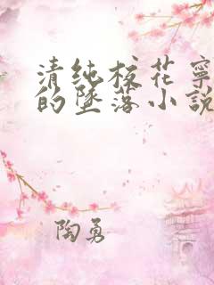 清纯校花宁小小的坠落小说