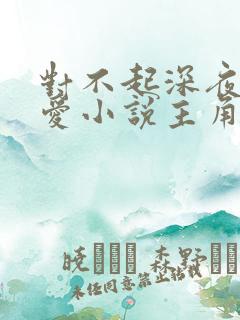 对不起深夜不说爱小说主角结局