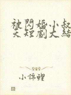 被闪婚小叔宠上天短剧大结局