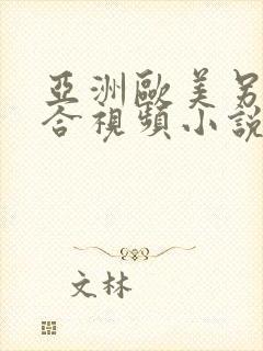 亚洲欧美另类综合视频小说