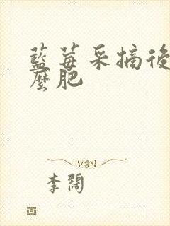 蓝莓采摘后施什么肥