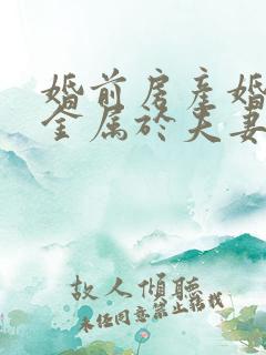 婚前房产婚后租金属于夫妻共同财产吗