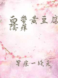 白带黄豆腐渣外阴痒