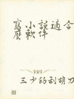 写小说适合用什么软件
