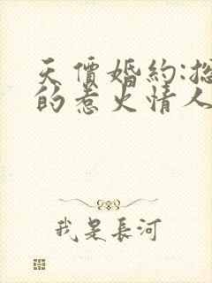 天价婚约:总裁的惹火情人小说完整免费