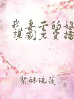 我妻子的姐姐电视剧免费播放