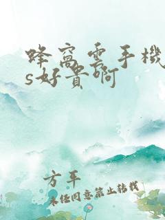 蜂窝云手机ios好贵啊