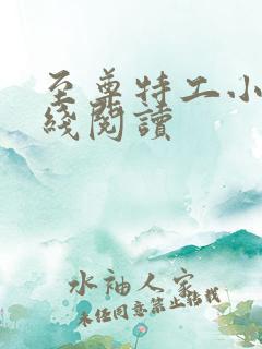 至尊特工小说在线阅读