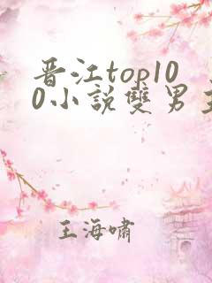 晋江top100小说双男主