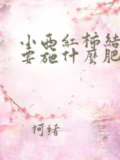 小西红柿结果后要施什么肥料