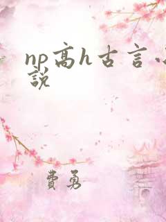 np高h古言小说