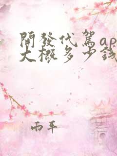 开发代驾app大概多少钱