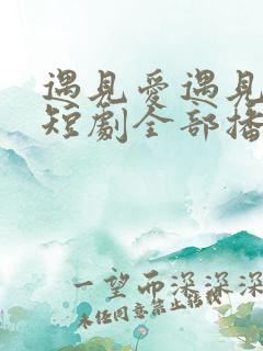 遇见爱遇见幸福短剧全部播放
