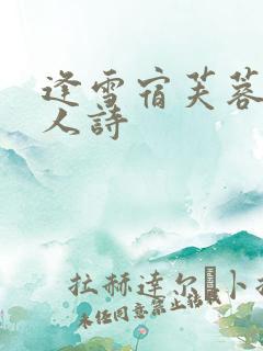 逢雪宿芙蓉山主人诗