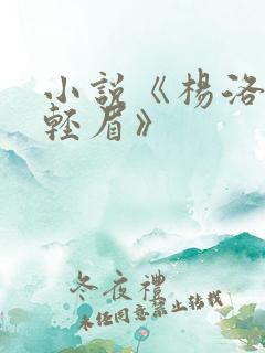 小说《杨洛与苏轻眉》