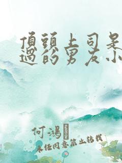 顶头上司是我渣过的男友小说