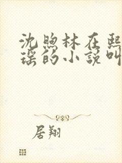 沈煦林在熙宁瑶瑶的小说叫什么名字