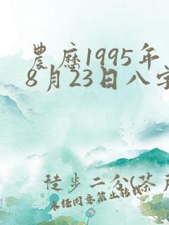 农历1995年8月23日八字算命