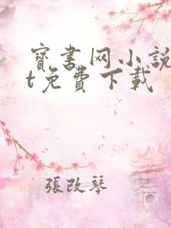 宝书网小说txt免费下载