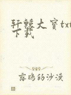 轩辕大宝txt下载
