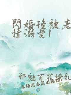 闪婚后被老公深情溺爱1