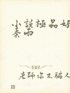 小说极品好儿媳秦雨