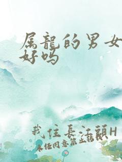 属龙的男女婚配好吗