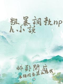粗暴调教np高h小说