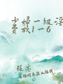 少妇一级淫片免费放1一6