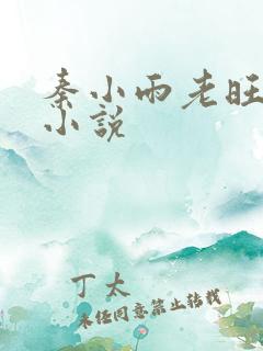 秦小雨老旺都市小说