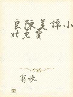 良陈美锦小说txt免费