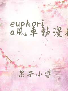 euphoria风车动漫在线观看