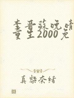 李晋苏晚晴小说重生2000免费阅读最新章节