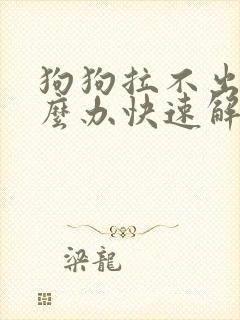 狗狗拉不出尿怎么办快速解决方法