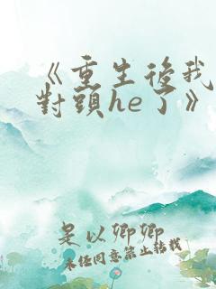 《重生后我和死对头he了》