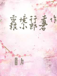灵境行者作者卖报小郎君