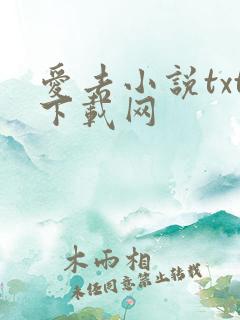 爱去小说txt下载网