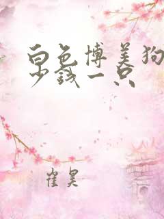 白色博美狗狗多少钱一只