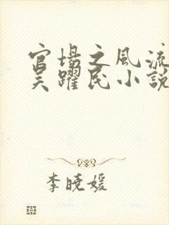 官场之风流医少吴跃民小说阅读