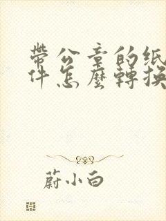 带公章的纸质文件怎么转换成pdf