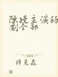 陈晓主演的电视剧全部