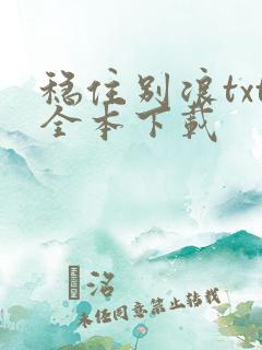 稳住别浪txt全本下载