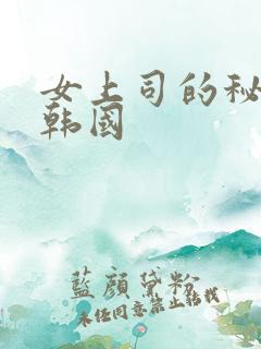 女上司的秘密 韩国
