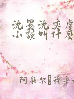 沈墨沈奕虞念念小说叫什么名字