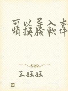 可以导入本地视频换脸软件